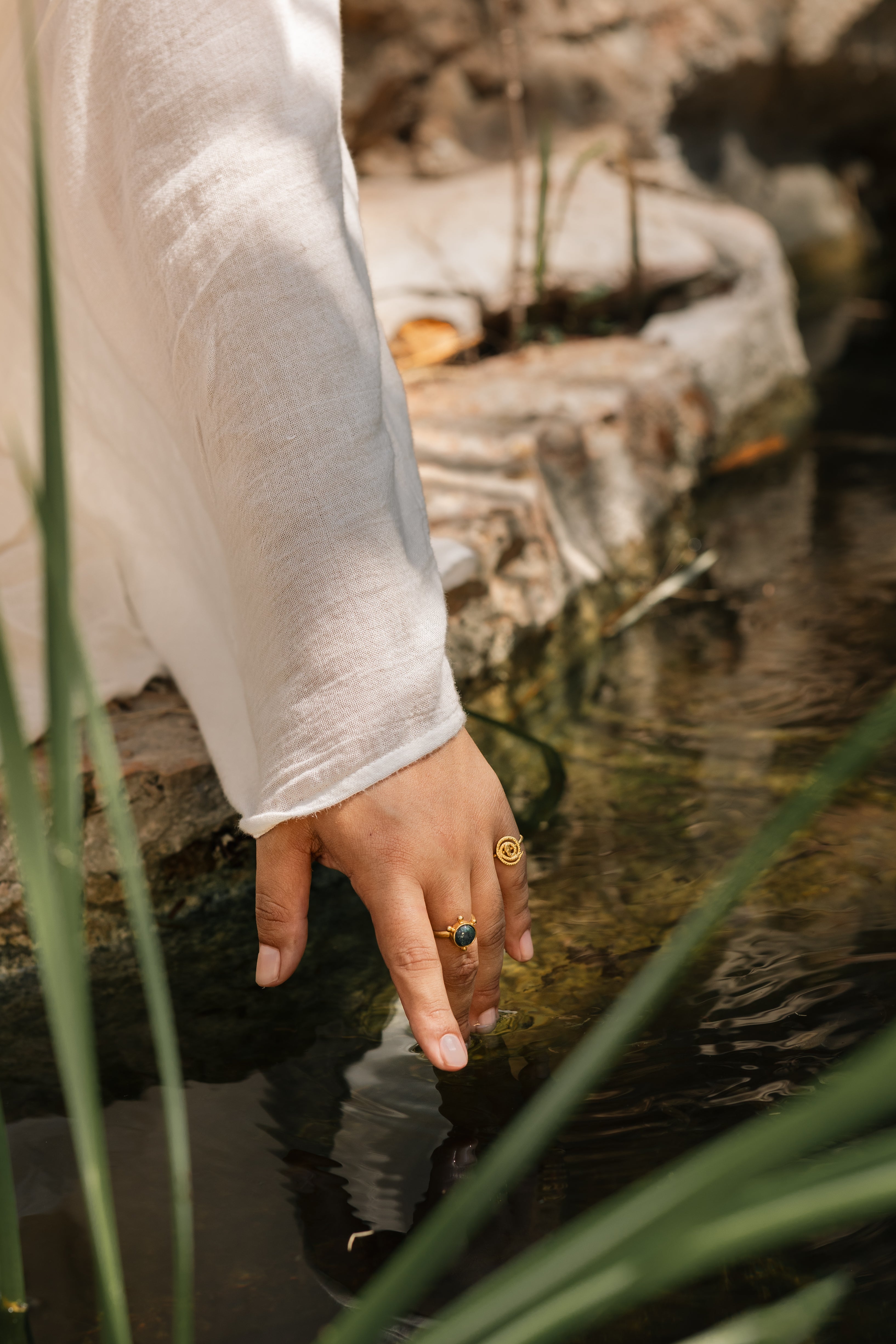 TUNA SILVESTRE | SOL